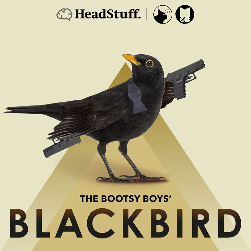 10: The Bootsy Boys review Michael Flatley's Blackbird podcast artwork