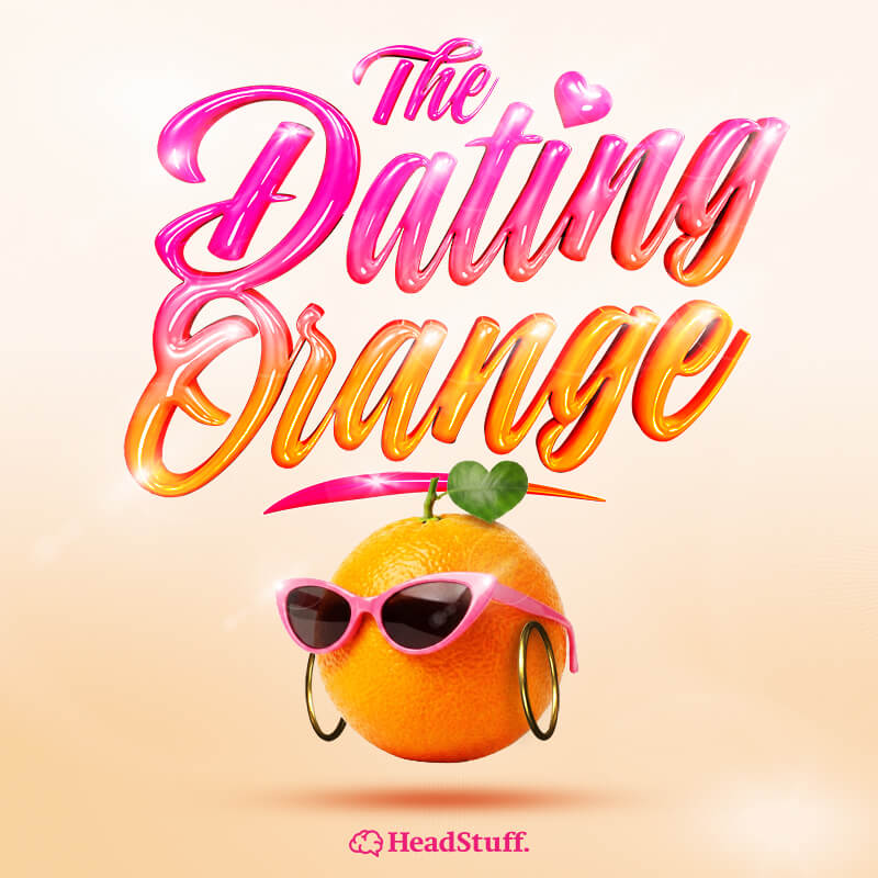 the podcast artwork